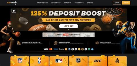 NJ Sports Betting: 14 Best New Jersey Sportsbook 2024